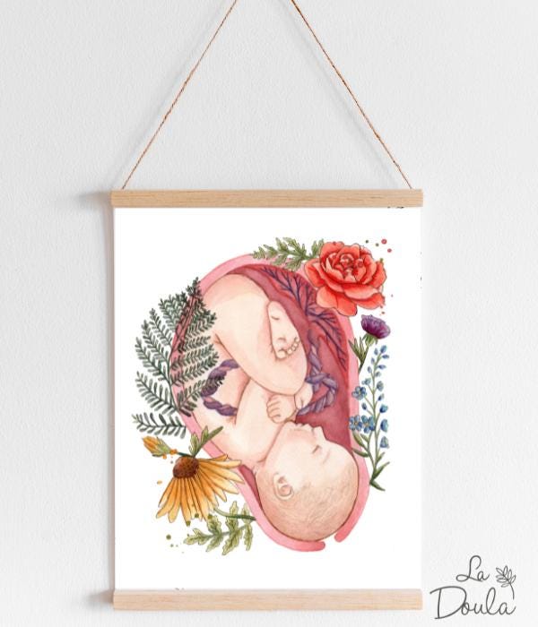 Affiche aquarelle IN UTERO