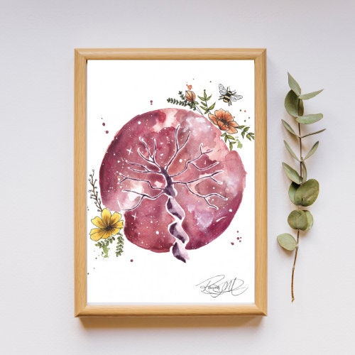Affiche aquarelle LE PLACENTA