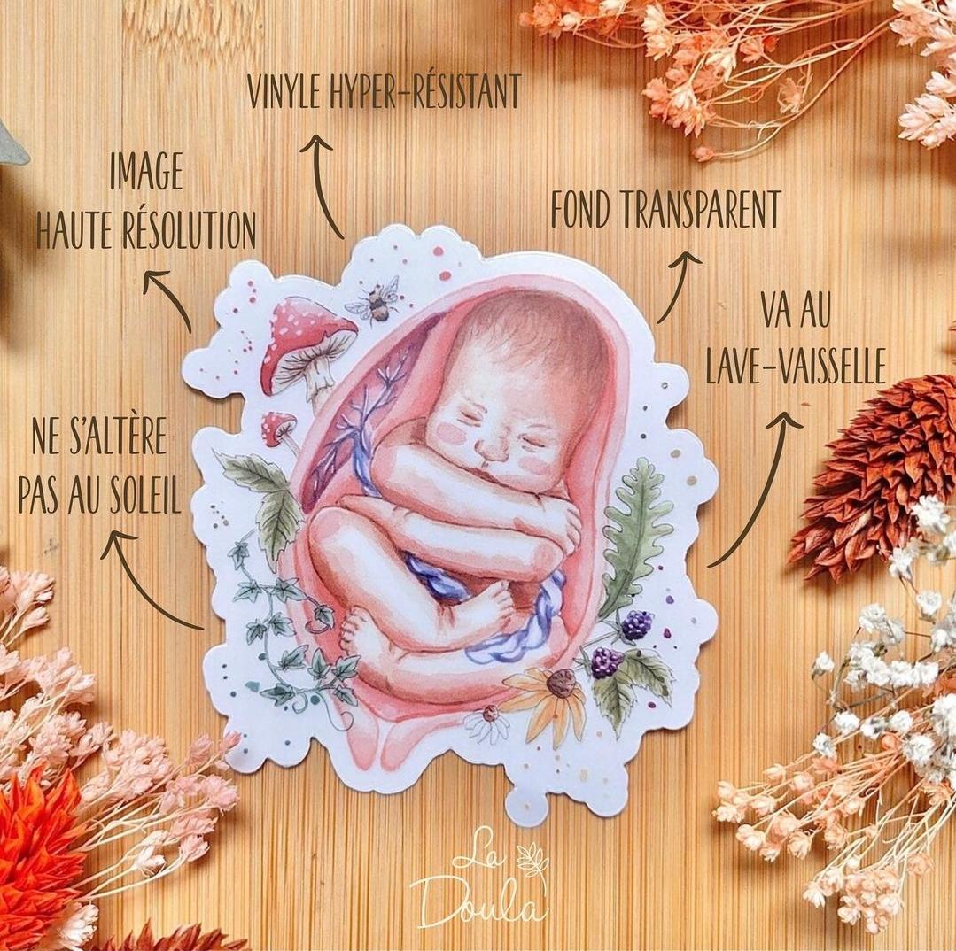 THE PLACENTA Waterproof Vinyl Sticker