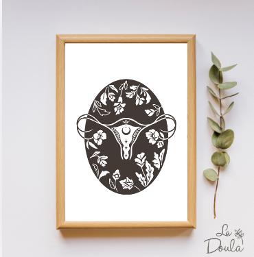 Display FEMINITY