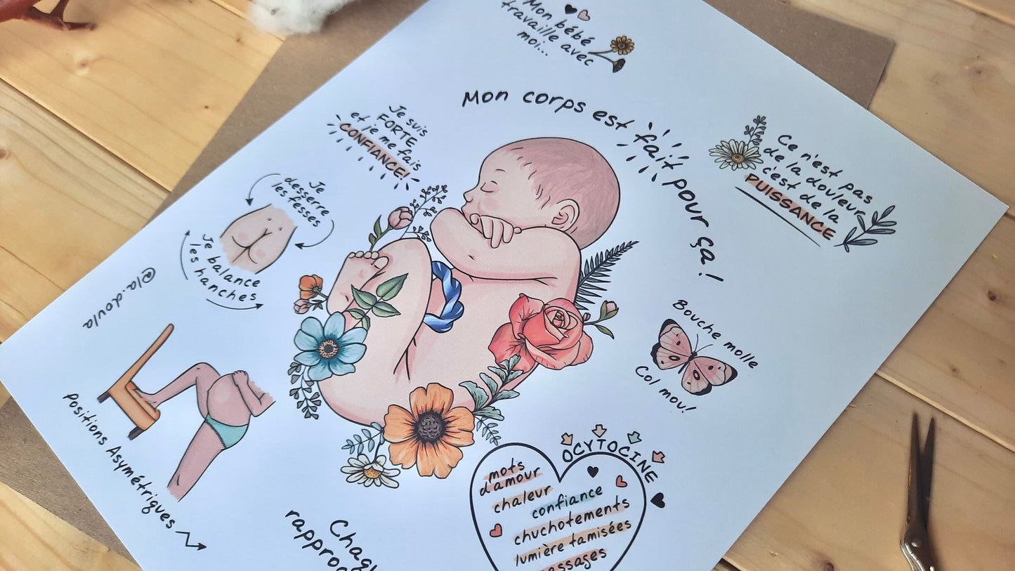 Baby in Utero *breech* (color version)
