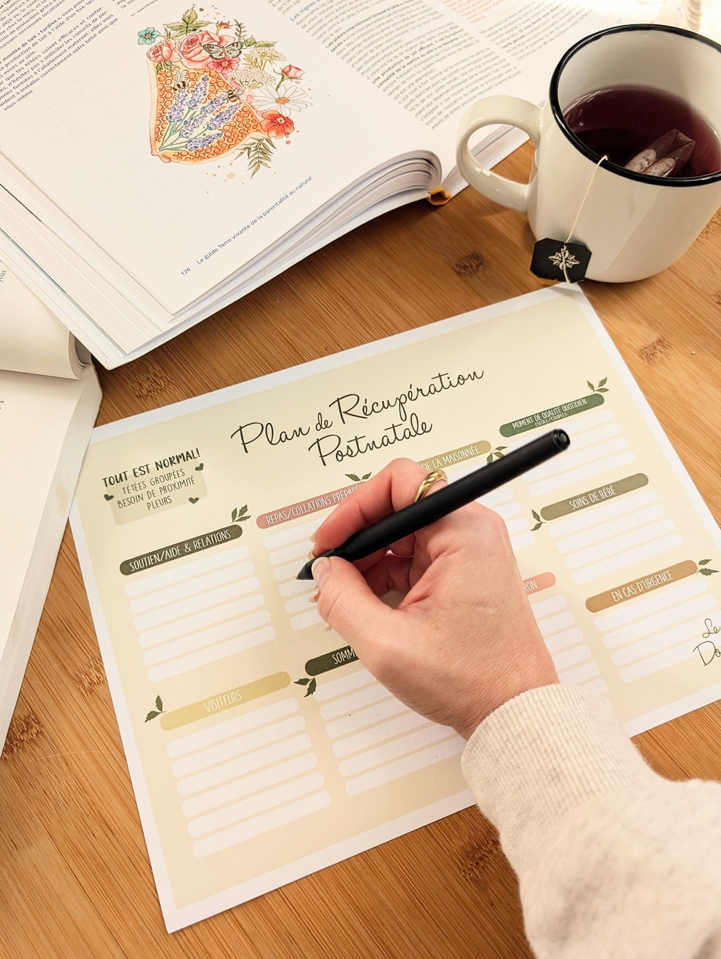 Plan Postnatal