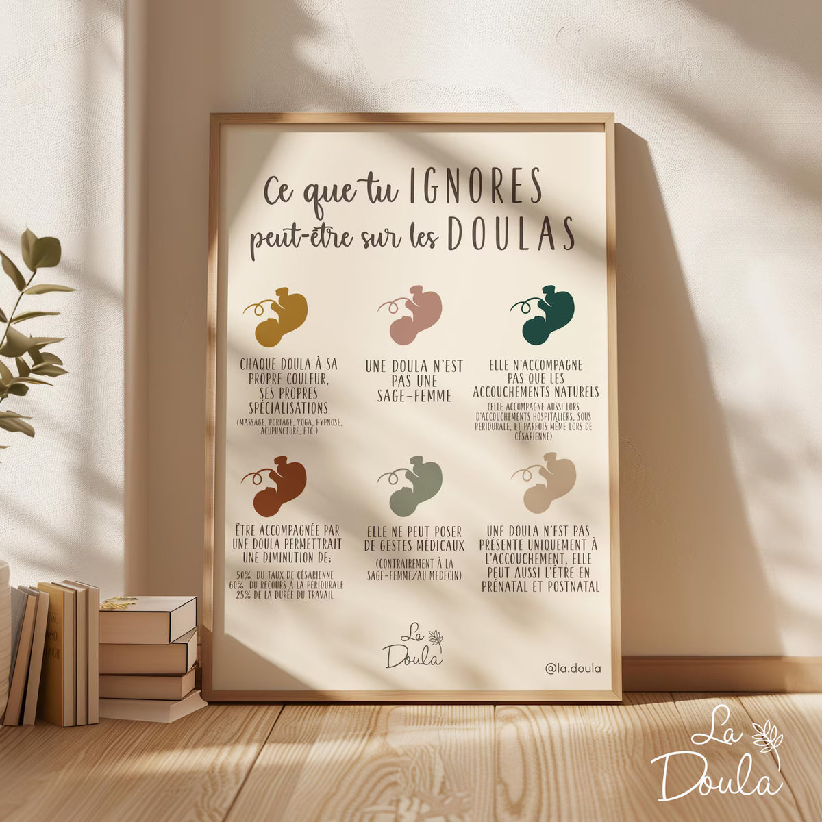 Affiche LES DOULAS
