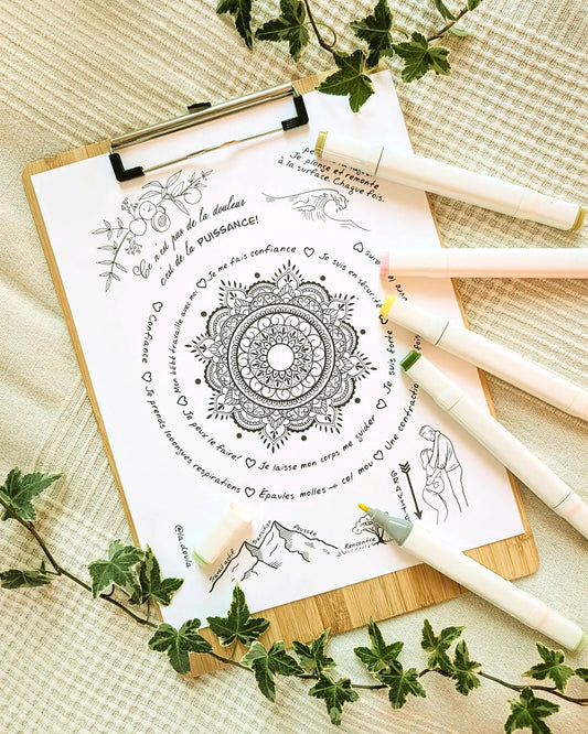 MANDALA (Version Papier)