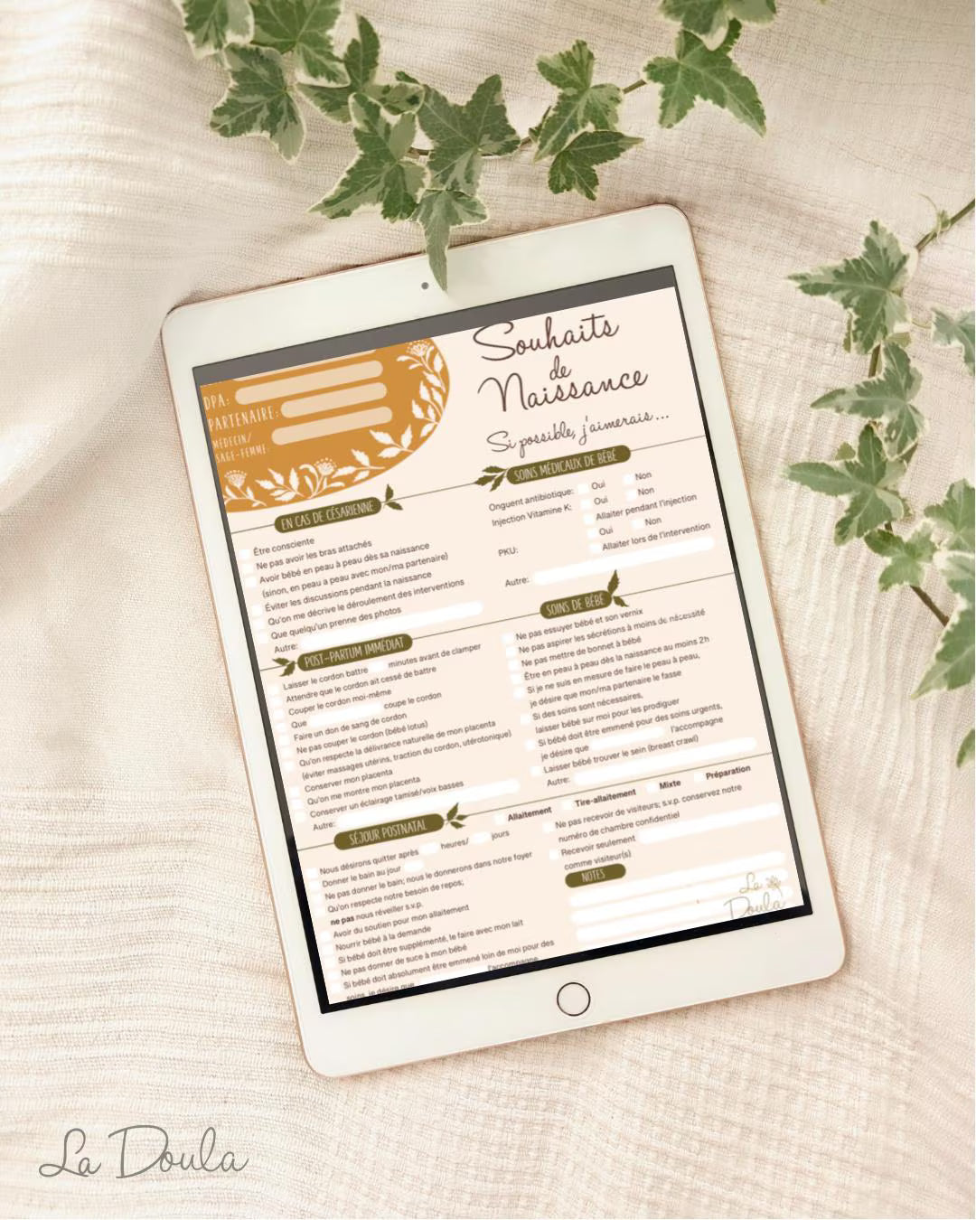 Plan de Naissance checklist (2e version)