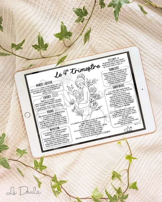 4e Trimestre Aide-Mémoire *femme noire