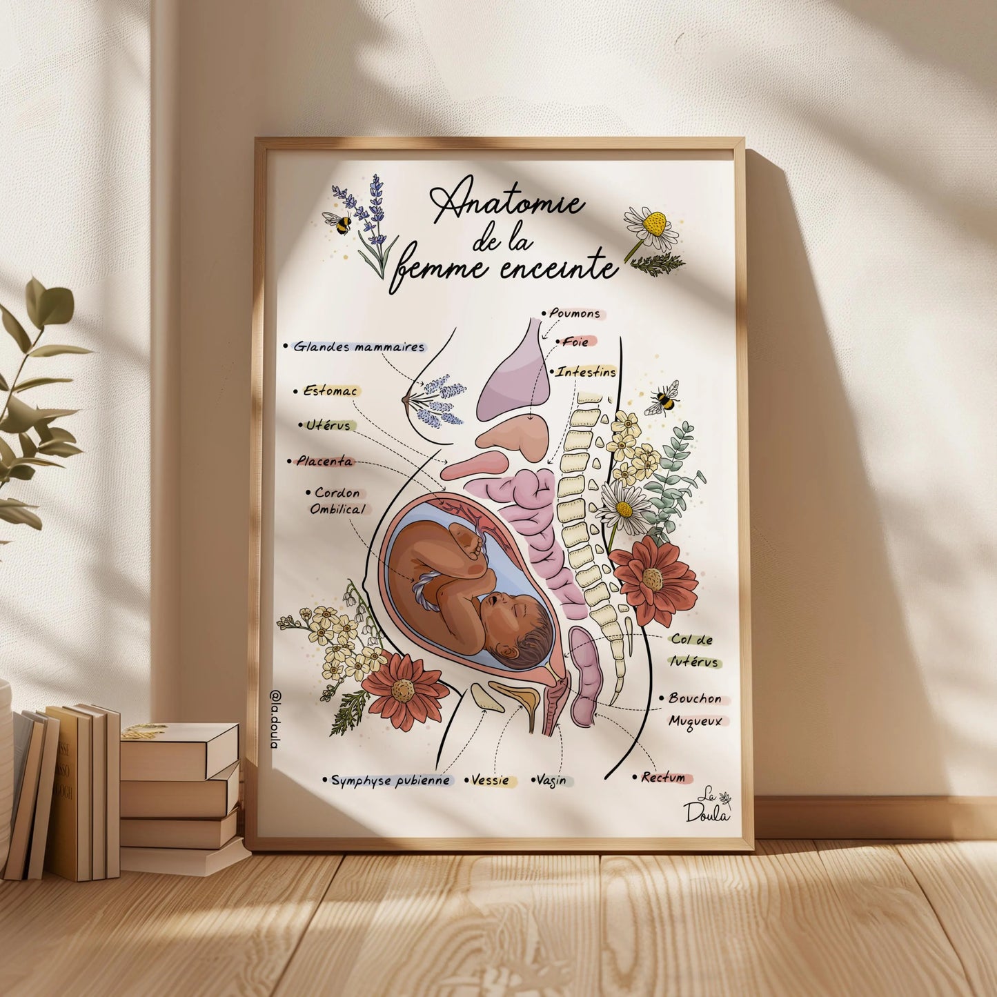 Affiche ANATOMIE