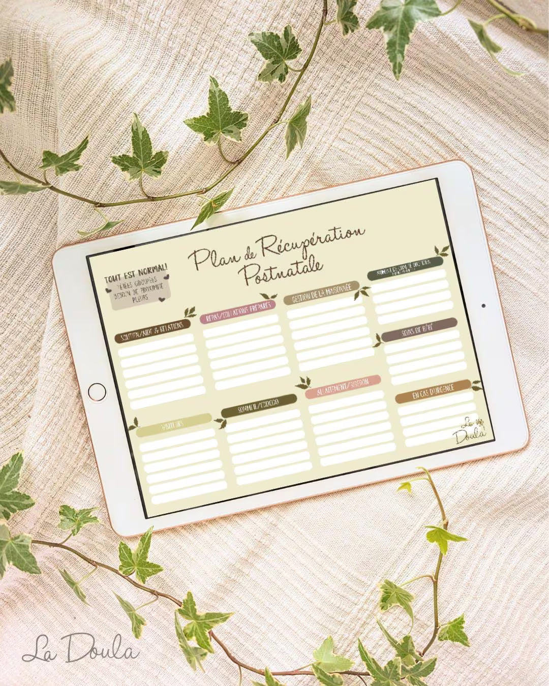 Plan Postnatal