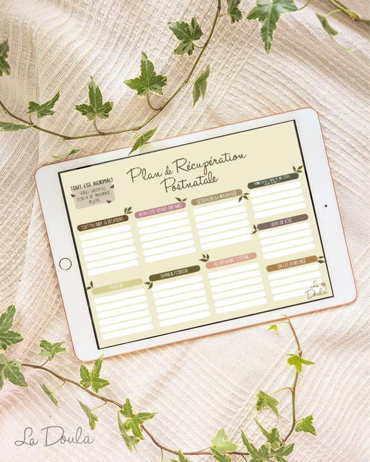 Plan Postnatal