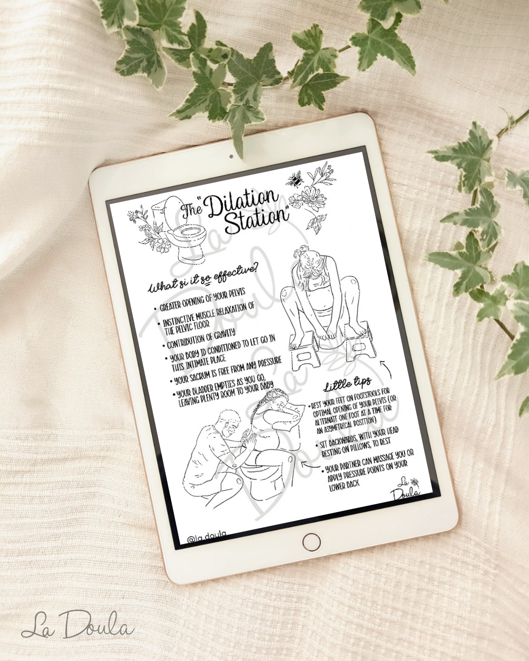Epidural Positions (color version/color background)